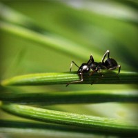 /album/payminsworksurp1988/photolia-a05-jpg/