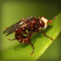 /album/payminsworksurp1988/photolia-a06-jpg/