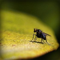 /album/payminsworksurp1988/photolia-a07-jpg/