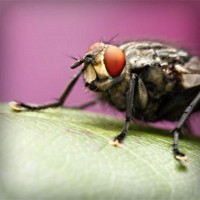 /album/payminsworksurp1988/photolia-a08-jpg/